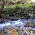 DSCN7913