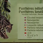 Le Parc des Felins agost 2010 1012
