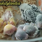 PicsArt_09-16-12.21.05