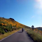 DSCN2082