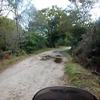 DSCN3733