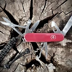 huntsman
