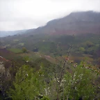 DSCN3849