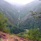 DSCN4246
