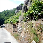 DSCN3370