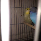 20160320_184349