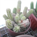 SAM_1362