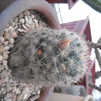 SAM_1361