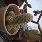 SAM_1364