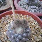 SAM_1367