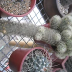 SAM_1365