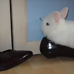 Nia en mi zapato