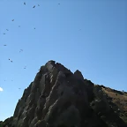 Salto