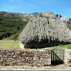 DSCN6366