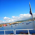 DSCN5604