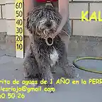 KALA La Rioja adoptada