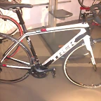 madone