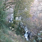 DSCN6675