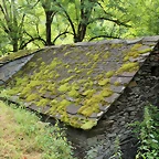 IMG_7534