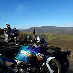 sebi los 3