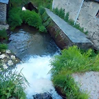 DSCN2408