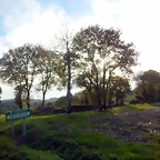 DSCN0522