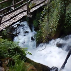 DSCN9142
