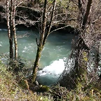 DSCN8019