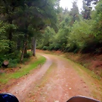 DSCN6678