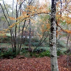 DSCN1262