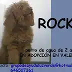 ROCKY Valencia
