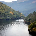 DSCN9935