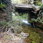 DSCN8337
