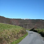 DSCN7994