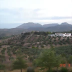 DSC00519