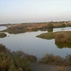 800px-Esteros-chiclana
