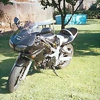 Dan4 (450 x 297)