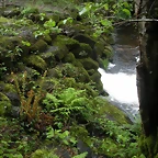 DSCN4177