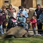 Zoo de Barcelona 10-03-12 307