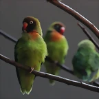 Zoo de Barcelona 10-03-12 203