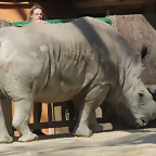 Zoo de Barcelona 10-03-12 331