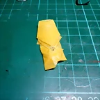 DSCN5470