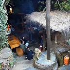 DSCN9679
