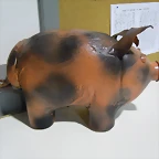 DSCN9343