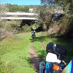 DSCN5517