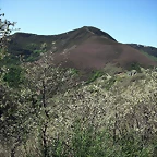 DSCF2516