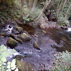 DSCN4382