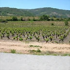 DSCN2636