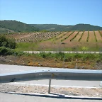 DSCN2635