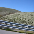 DSCN2803